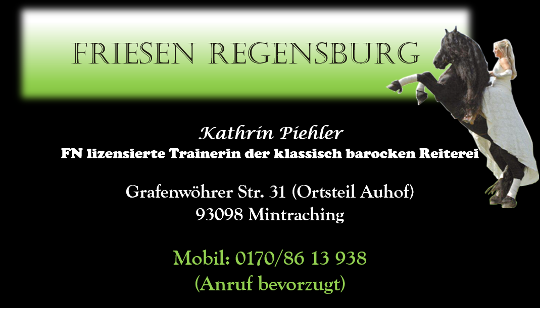 info@friesen-regensburg.de